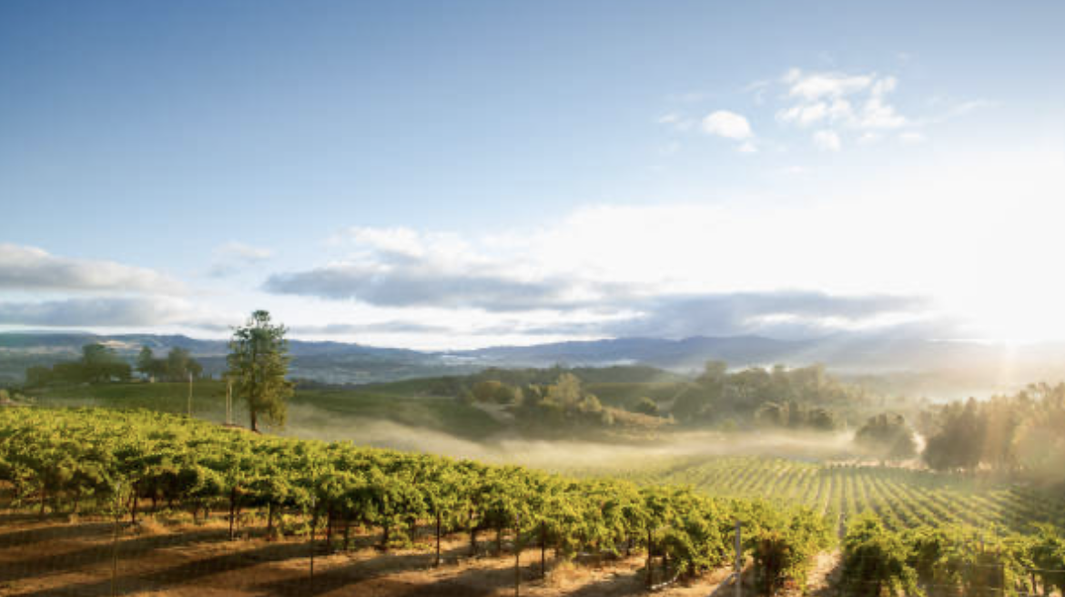 Screenshot 2025-07-31 at 10.25.18 PM