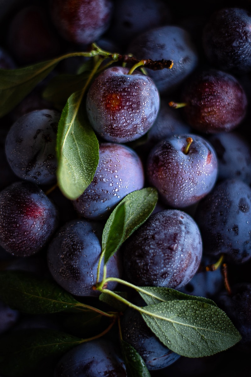 pile of fruits
